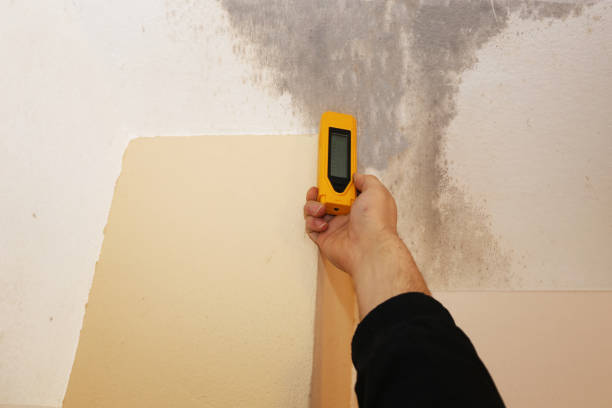 Best Air Quality Testing for Mold Spores  in Folly Beach, SC