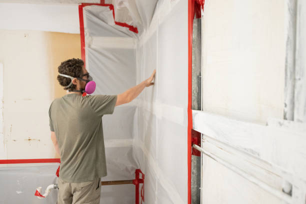 Best Asbestos and Lead Testing During Mold Inspection  in Folly Beach, SC