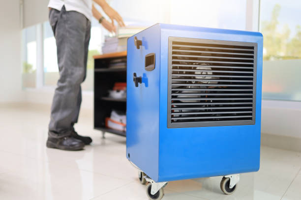 Best Mold Damage Restoration  in Folly Beach, SC