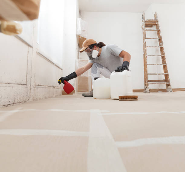 Best Mold Prevention Services  in Folly Beach, SC
