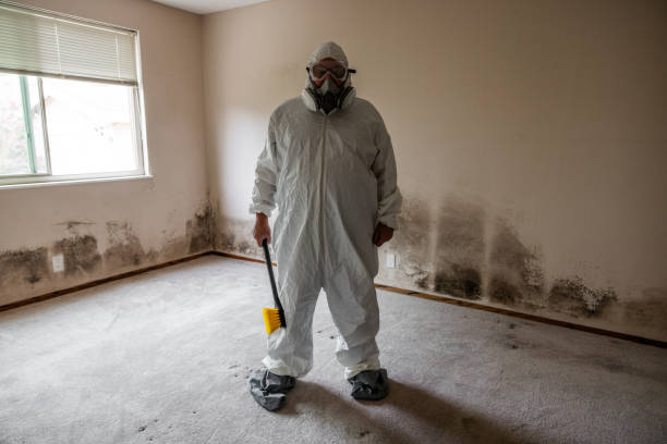 Best Crawl Space Mold Remediation  in Folly Beach, SC
